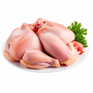 Fresh Chicken