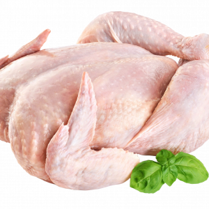 Fresh Rooster Chicken
